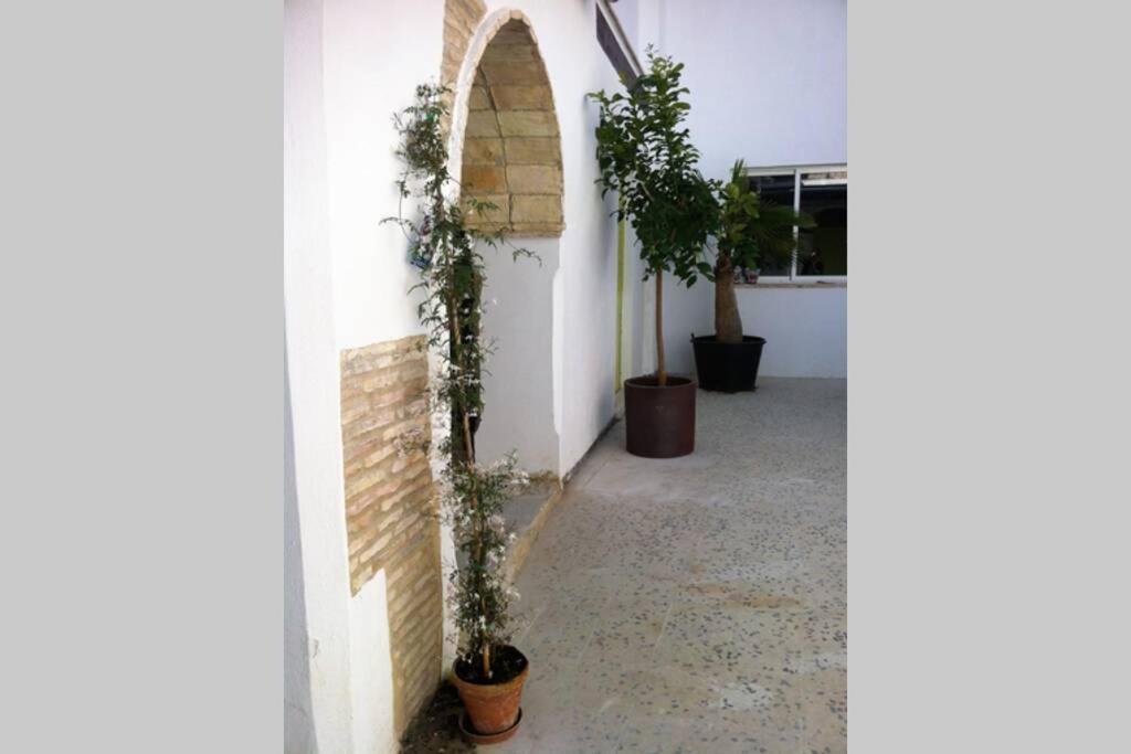 דירות חרז Casa Florinda #7 מראה חיצוני תמונה